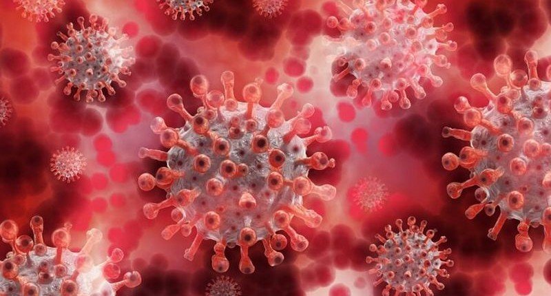 В Германии назвали места с самым высоким риском заражения коронавирусом
