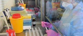 В России зарегистрирована тест-система для выявления новых штаммов коронавируса
