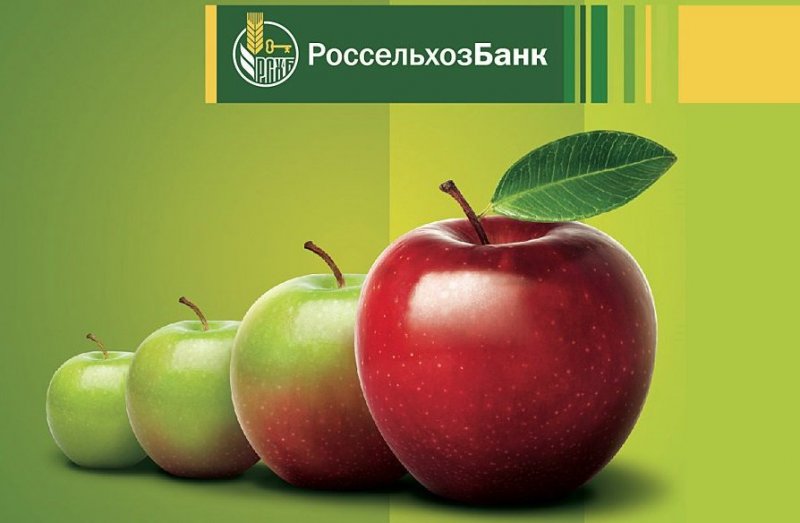 ЧЕЧНЯ. Россельхозбанк запустил для жителей Чечни новый продукт - накопительный счет «Моя выгода»