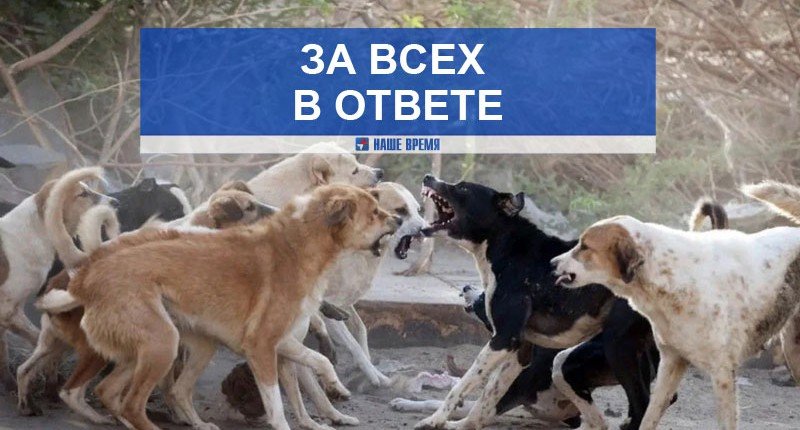 АСТРАХАНЬ. На экс-главу коммунального хозяйства Астрахани хотят «повесить всех собак»