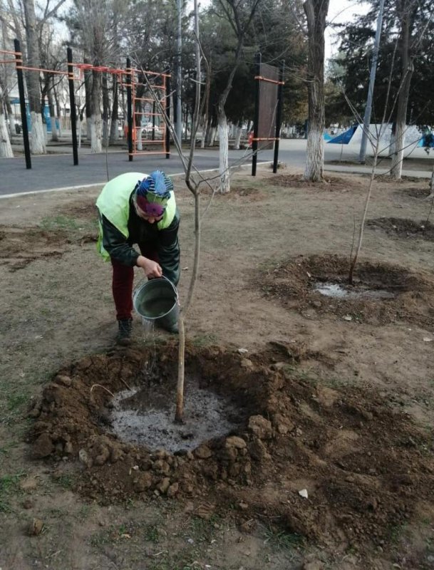 АСТРАХАНЬ. В парках и скверах Астрахани высадили деревья и цветы