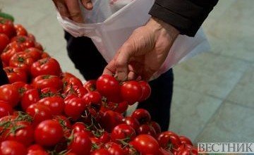 АЗЕРБАЙДЖАН. Грузия наращивает импорт томатов из Азербайджана