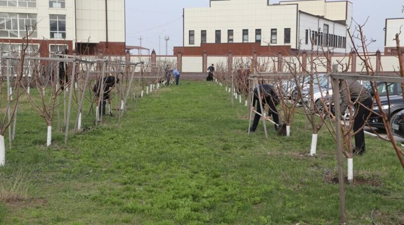 ЧЕЧНЯ.  Минавтодор ЧР активно принимает участие в общегородских субботниках