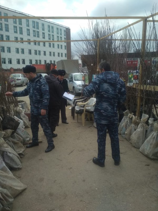 ЧЕЧНЯ. Россельхознадзор по ЧР: Пресечена реализация посевного и посадочного материала, без документов подтверждающих сортовые и посадочные качества