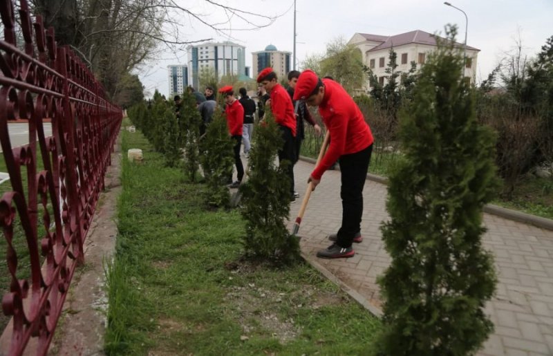 ЧЕЧНЯ. В Гудермесе началась массовая высадка деревьев и зеленых насаждений