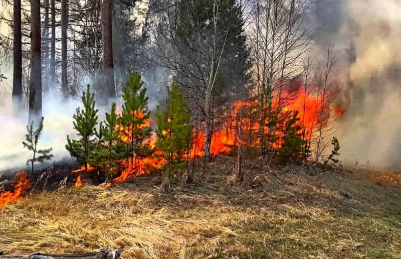 ДАГЕСТАН. В Унцукульском районе огнём охвачена площадь более 2-х гектаров лесов