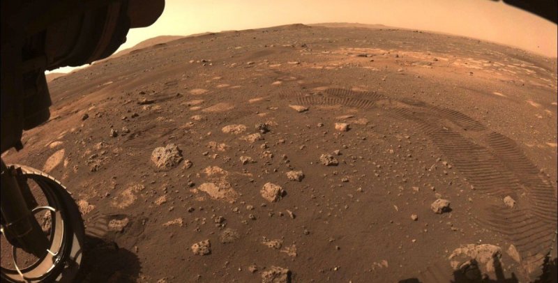 Энтомолог отыскал на Марсе жуков и змей
