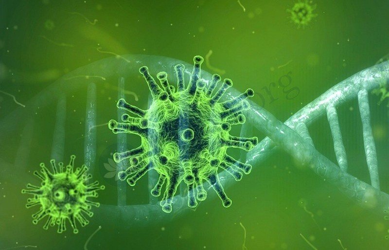 КАЛМЫКИЯ. В Калмыкии впервые выявили "британский" штамм коронавируса
