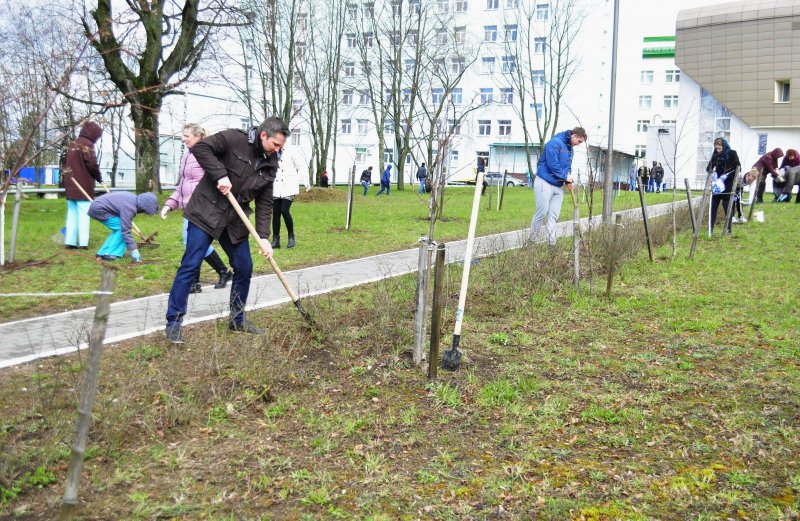 КЧР. 24 апреля в городах и районах Карачаево-Черкесии пройдет общереспубликанский субботник