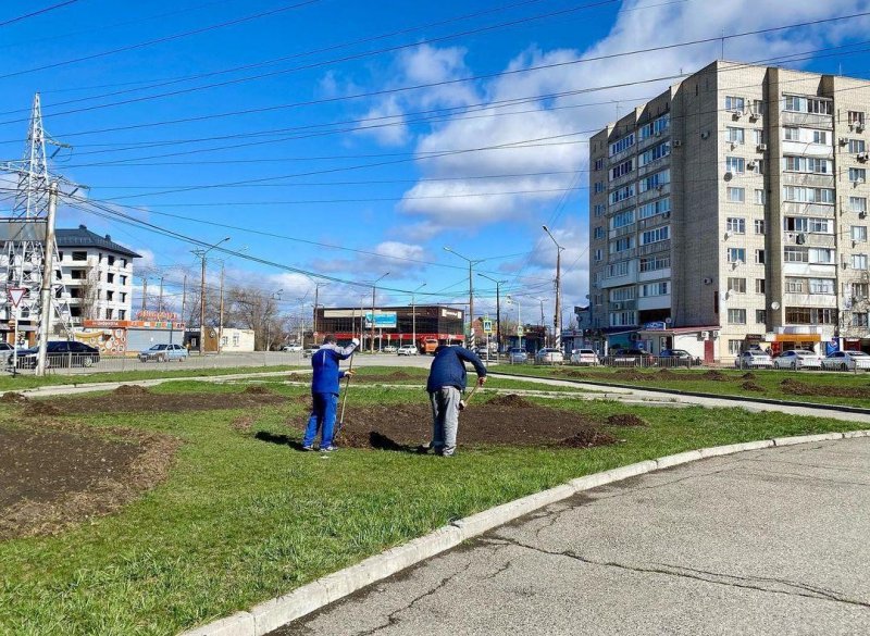 КЧР. В столице Карачаево-Черкесии началось озеленение площади им.Петрусевича