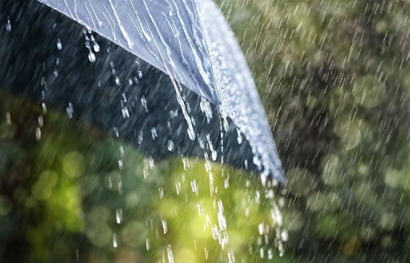 КРАСНОДАР. На Кубани 11 апреля пройдут дожди с грозами
