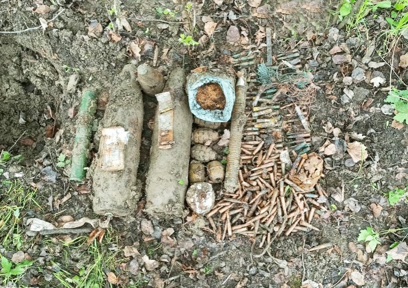 ЧЕЧНЯ. Военнослужащие Росгвардии обнаружили и уничтожили тайник с боеприпасами в лесном массиве Чеченской Республики