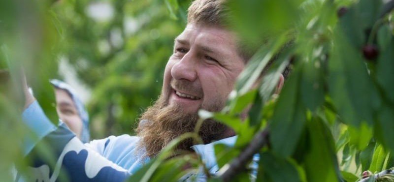 ЧЕЧНЯ. Рамзан Кадыров: Меня радует, что в Чеченской Республике активно развивается дворовое хозяйство