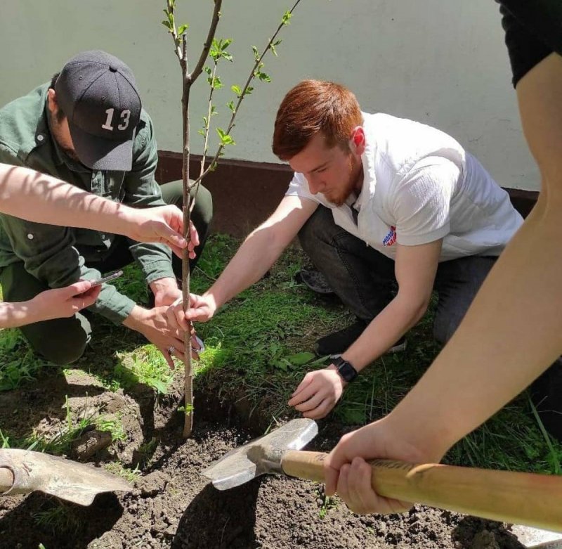 ЧЕЧНЯ. МГЕР Чечни провела посадку саженцев в рамках Международного сада мира «Благодатное кольцо»