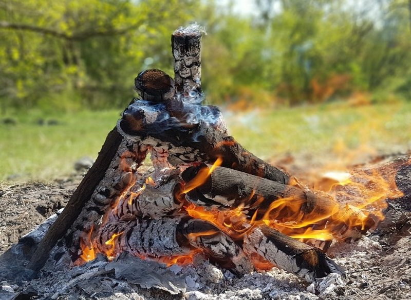 ЧЕЧНЯ. Минприроды ЧР предупреждает об опасности пожаров в период майских выходных