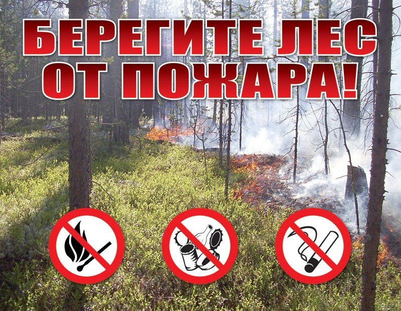 ЧЕЧНЯ.  Минприроды республики из-за жары усилило кратность патрулирования