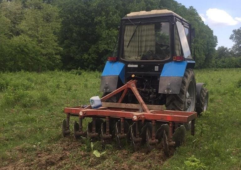 ЧЕЧНЯ. В Чеченской Республике проводятся работы по уходу за лесными культурами