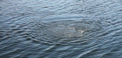 ЧЕЧНЯ. По факту смерти подростка, утонувшего в реке Сунжа проводится доследственная проверка