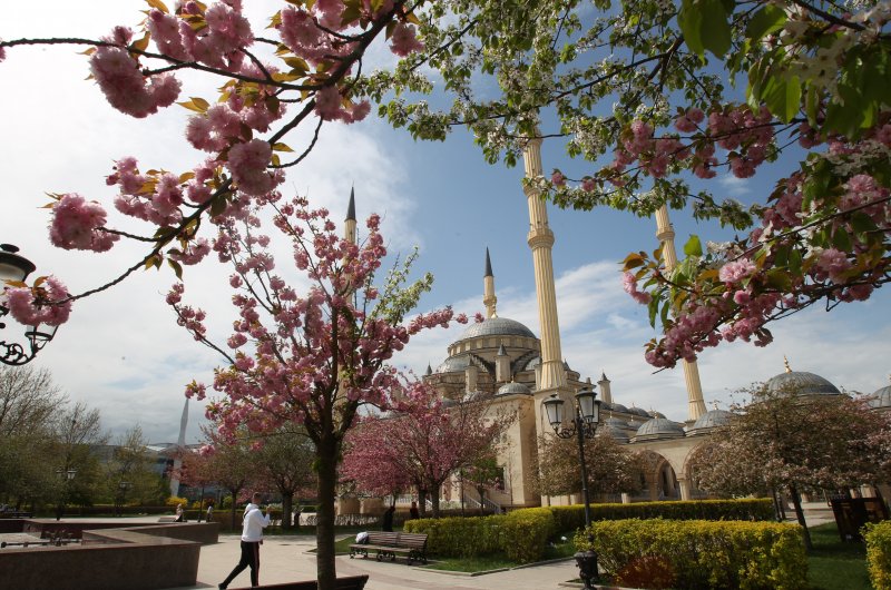 ЧЕЧНЯ. С начала года в Чечне открылось 15 мечетей