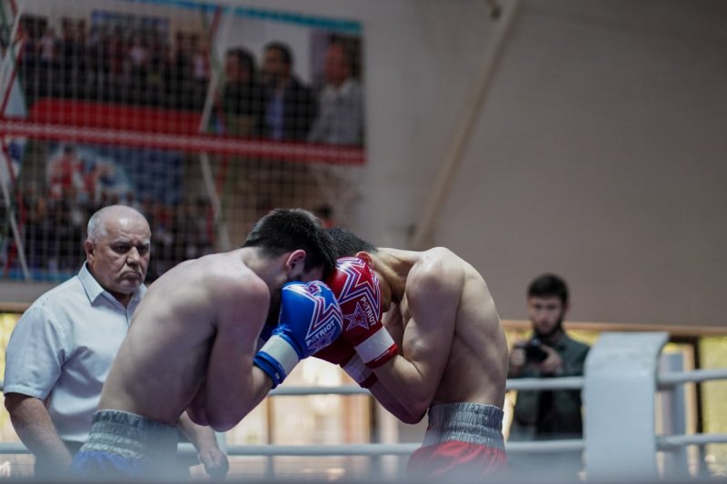 ЧЕЧНЯ. В Грозном пройдёт финал Западной конференции Национальной студенческой лиги по боксу