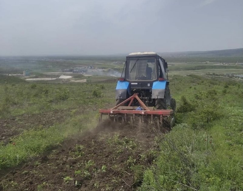 ЧЕЧНЯ. В ЧР провели механизированный уход за лесными культурами