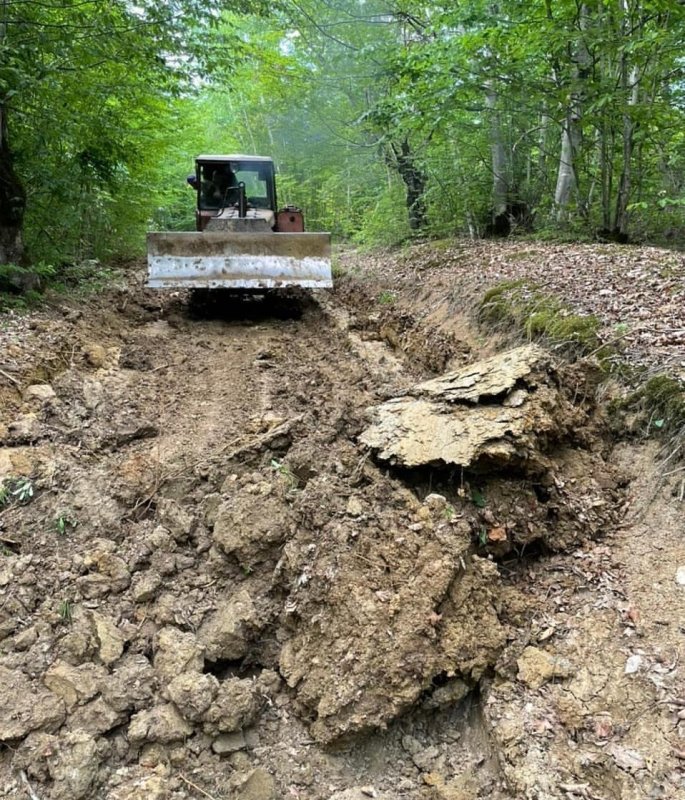 ЧЕЧНЯ. В Веденском районе активными темпами проходит строительство лесных дорог