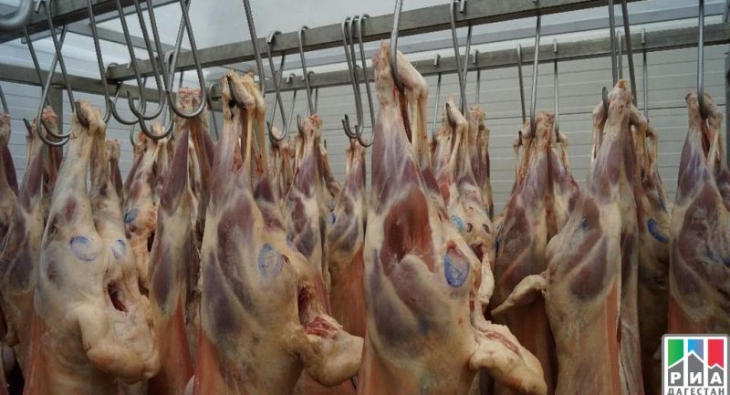 ДАГЕСТАН. Более 28 тыс. тонн мяса произведено в Дагестане за первый квартал 2021 года