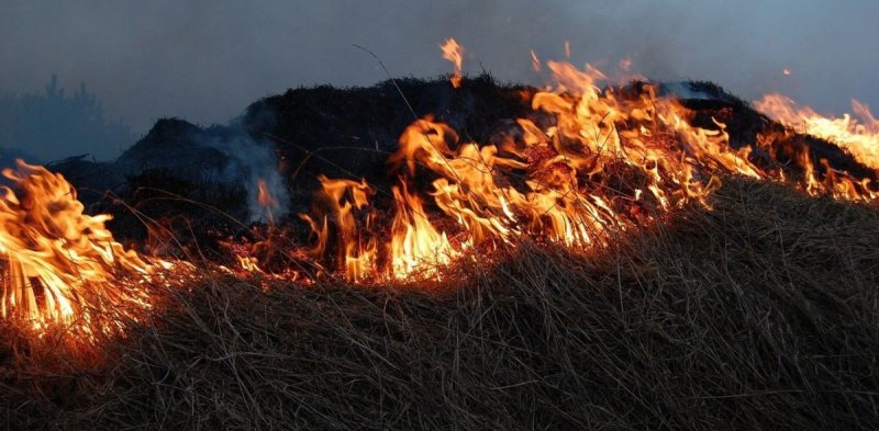 РОСТОВ. На окраине Батайска разгорелся пожар