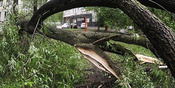 РОСТОВ. Ростовчан предупредили о порывах ветра до 18 м/с