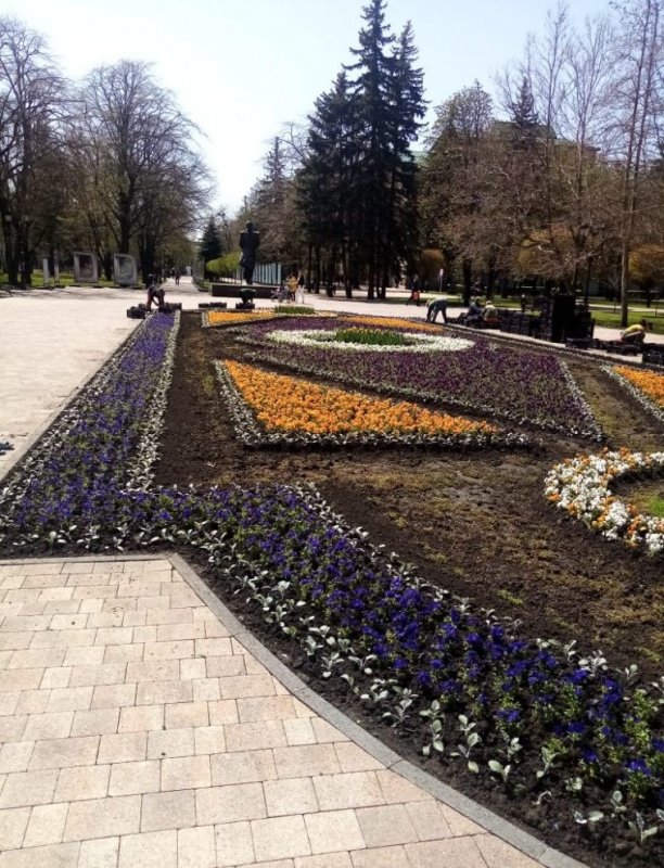 СТАВРОПОЛЬЕ. Озеленители Ставрополя украшают город к майским праздникам