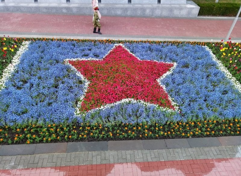 СТАВРОПОЛЬЕ. С начала года в Ставрополе высадили более 34 тысячи цветов и 3 тысяч деревьев