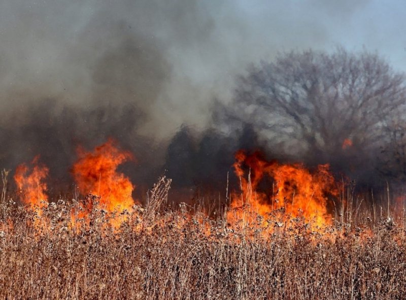 СТАВРОПОЛЬЕ. В МЧС предупредили ставропольцев о чрезвычайной пожароопасности