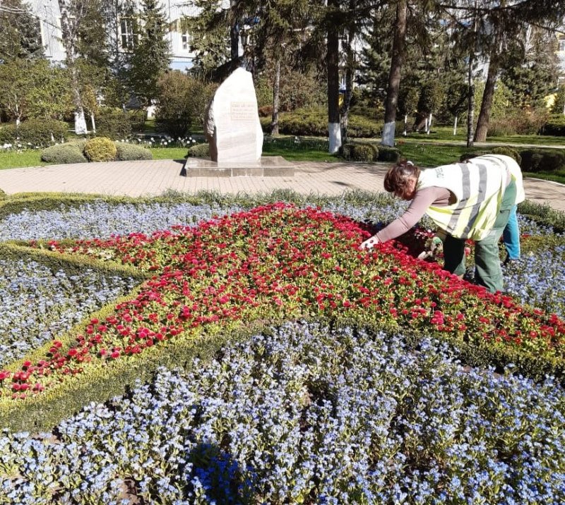 СТАВРОПОЛЬЕ. В Ставрополе высадят 750 тысяч растений и ковровых культур