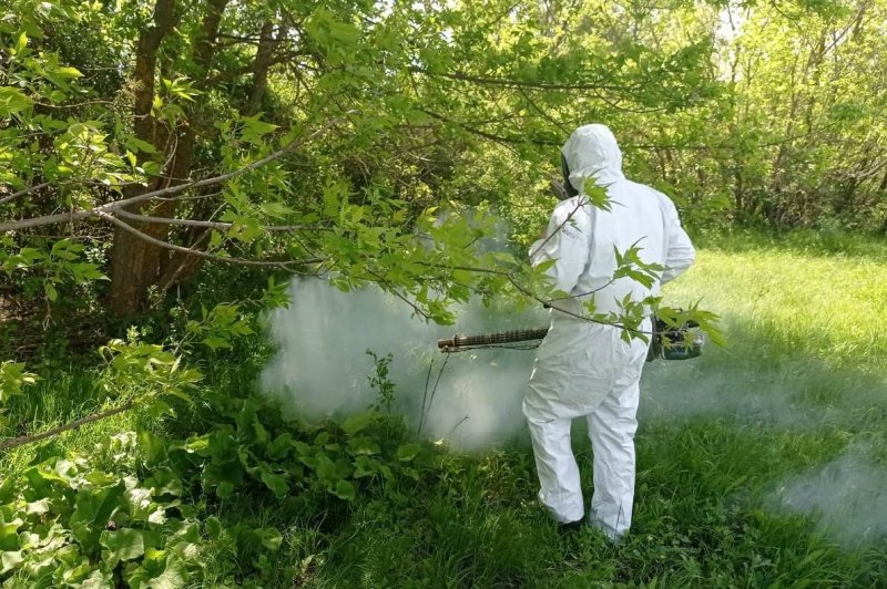 ВОЛГОГРАД. В Волгоградской области на 161 объекте стартовала ликвидация комаров и клещей