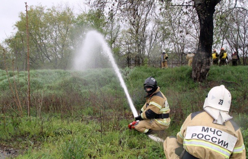 ЧЕЧНЯ. Определены критерии населенных пунктов, поверженных угрозе ландшафтных пожаров