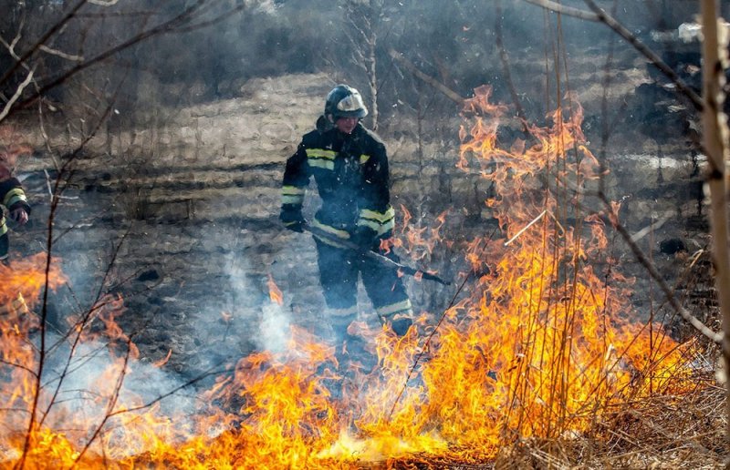 ЧЕЧНЯ. Чеченская Республика получит около 5,5 млн. рублей на борьбу с лесными пожарами