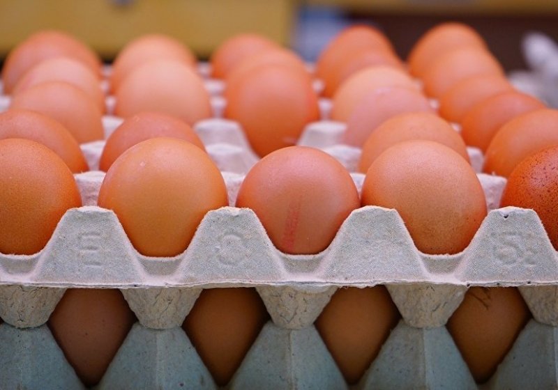 ЧЕЧНЯ. Цены на яйца куриные в ЧР снизились на 12,6%