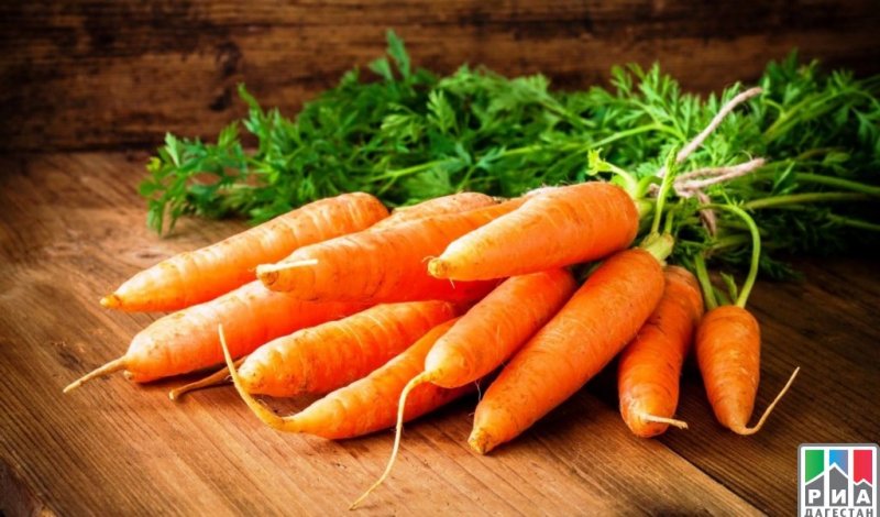 ДАГЕСТАН. Цены на морковь и свеклу в Дагестане стабилизируются к началу июля – Минсельхозпрод РД