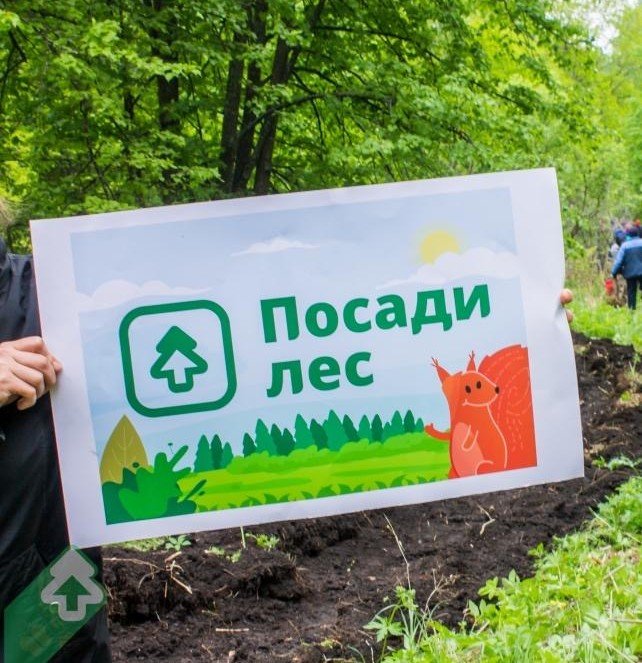 КЧР. Слетал в отпуск - «Посади Лес»: отпускников Карачаево-Черкесии приглашают компенсировать углеродный след