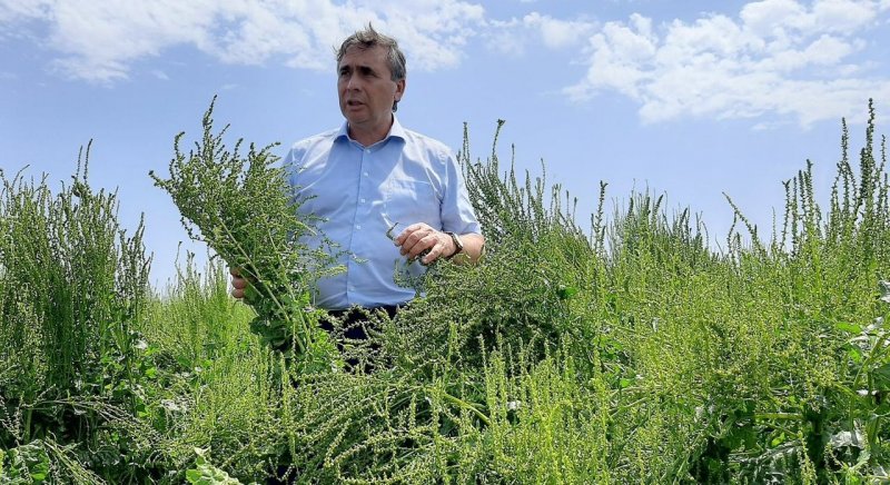 КРЫМ. Андрей Рюмшин: В Республике Крым в этом году будет посеяно 460 гектаров семенников сахарной свеклы