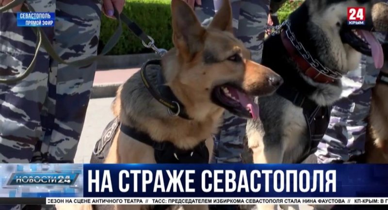 КРЫМ. Как полиция Севастополя подготовилась к летнему сезону