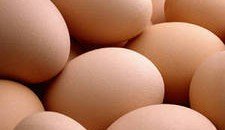РОСТОВ. В Ростовской области не допущен ввоз птиц и инкубационных яиц без ветеринарных документов с территории Украины