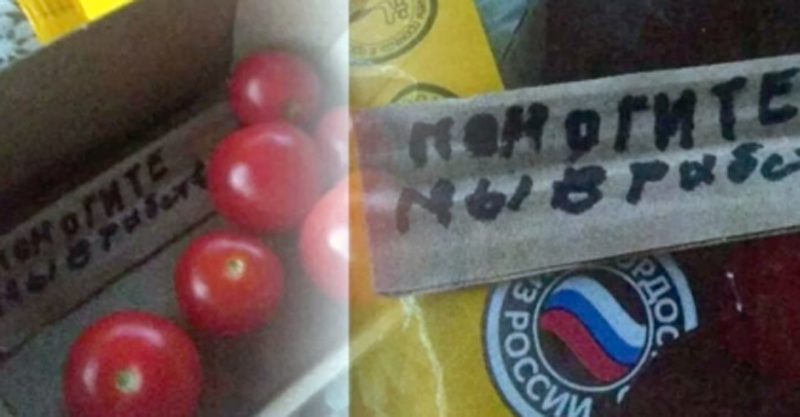 СТАВРОПОЛЬЕ. ГУВД Ставрополья начало проверку послания, найденного в помидорах.
