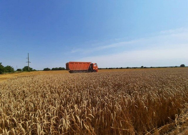 АДЫГЕЯ. Самая жаркая пора