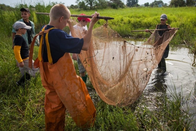 АСТРАХАНЬ. В Астраханской области спасли более 100 миллионов рыбной молоди