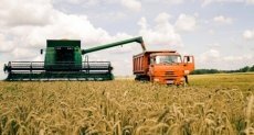 ЧЕЧНЯ.  Аграрии ЧР проводят уборку зерновых с опережением графика