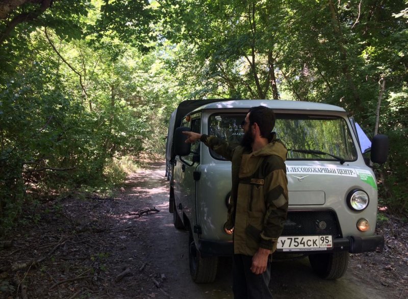 ЧЕЧНЯ.  Минприроды ЧР из-за аномально жаркой погоды увеличило кратность патрулирования лесов во всех районах республики.