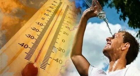 ЧЕЧНЯ. Синоптики предупредили о 40-градусной жаре в Чечне и на Северном Кавказе в целом
