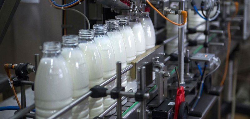 ЧЕЧНЯ. Свыше 12 тыс. тонн молока произведено в ЧР за полгода