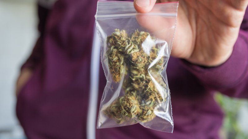 ЧЕЧНЯ. У жителя с. Старые-Атаги изъяли свыше 700 граммов марихуаны